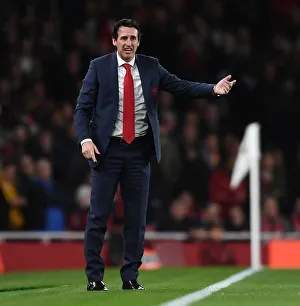 <b class=qtipBold><figcaption>Emery 1 181022WAFC</figcaption></b><br><em>© Alan Walter</em> Emery 1 181022WAFC