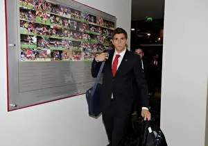 Emi Martinez (Arsenal). Arsenal 2: 1 Crystal Palace. Barclays Premier League. Emirates Stadium