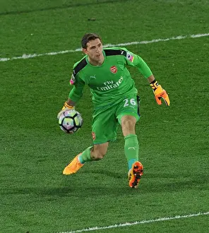 Crystal Palace V Arsenal 2016-17 Prints: Emiliano Martinez in Action: Crystal Palace vs Arsenal, Premier League 2016-17