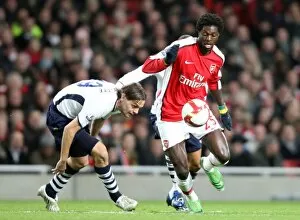 Arsenal v Tottenham 2008-09 Collection: Emmanuel Adebayor (Arsenal) Jonathan Woodgate (Tottenham)