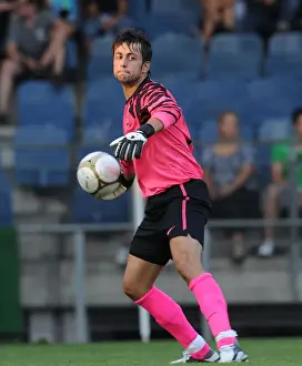 Sturm Graz V Arsenal 2010-11 Prints: Fabianski's Dominance: Arsenal Crushes Sturm Graz 4-0, Austria 2010
