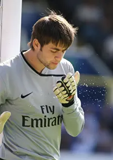 Fabianski's Dominance: Arsenal's 4-0 Win Over Portsmouth, 2009