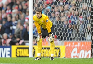 Stoke City V Arsenal - FA Cup 2009-10 Prints: Fabianski's FA Cup Challenge: Arsenal vs. Stoke at The Britannia Stadium (3:1)