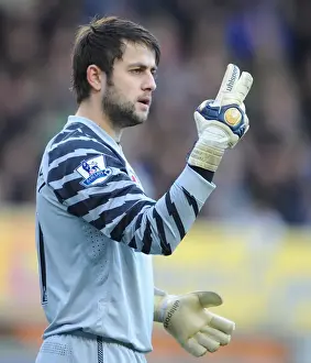 Fabianski's Triumph: Arsenal's Exhilarating 2-1 Victory Over Everton, Premier League 2010-11