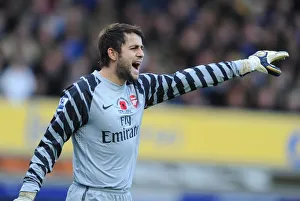 Everton V Arsenal 2010-11 Prints: Fabianski's Victory: Arsenal's 2-1 Win at Everton, Premier League 2010-11