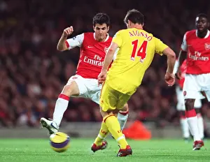 Fabregas and Alonso Clash: Arsenal's 3-0 Victory Over Liverpool in the Premier League, Emirates Stadium, 2006
