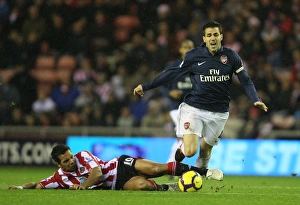 Sunderland V Arsenal 2009-10 Prints: Fabregas Leads Arsenal to 1:0 Victory over Sunderland, 2009