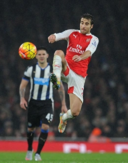 Arsenal V Newcastle United 2015-16 Prints: Flamini in Action: Arsenal vs Newcastle United, Premier League 2015-16