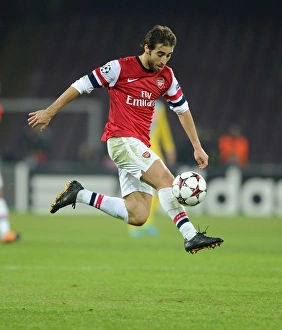 Flamini in Action: Napoli vs. Arsenal, UEFA Champions League 2013-14