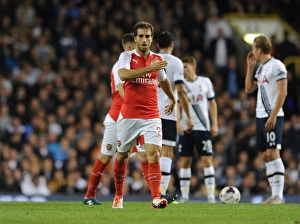 Tottenham Hotspur V Arsenal Capital One Cup 2015/16 Prints: Flamini's Stunner: Arsenal's Thrilling Capital One Cup Victory over Tottenham