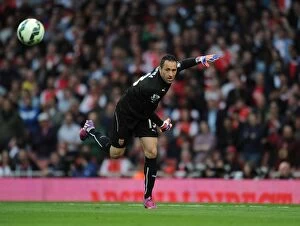 Images Dated 11th May 2015: Focused David Ospina: Arsenal vs Swansea City, Premier League 2014/15