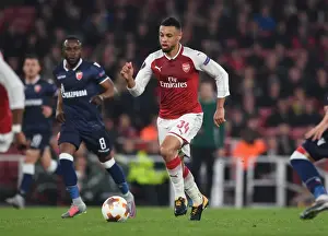 Arsenal V Red Star Belgrade 2017-18 Prints: Francis Coquelin: In Action for Arsenal in Europa League Clash Against Red Star Belgrade