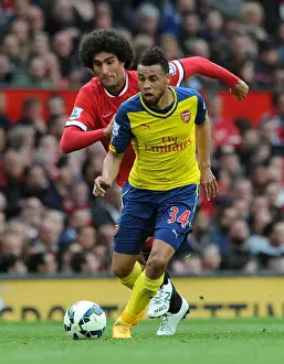 Manchester United V Arsenal 2014-15 Prints: Francis Coquelin (Arsenal) Marouane Fellaini (Man Utd). Manchester United 1: 1 Arsenal