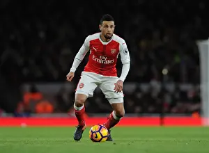Arsenal V West Bromwich Albion 2016-17 Prints: Francis Coquelin: Arsenal's Midfield Warrior vs West Bromwich Albion (2016-17)