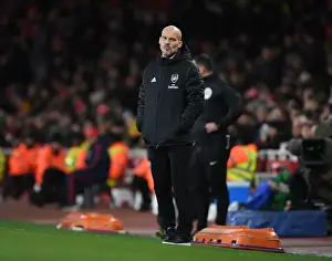 Freddie Ljungberg Leads Arsenal at Emirates Stadium: Arsenal vs Brighton, 2019-20