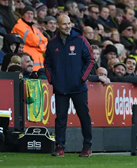 Freddie Ljungberg Leads Arsenal in Premier League Battle at Norwich City, December 2019