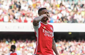 Gabriel Jesus Game-winning Goal: Arsenal's Thrilling Victory Over Wolverhampton Wanderers (2022-23)