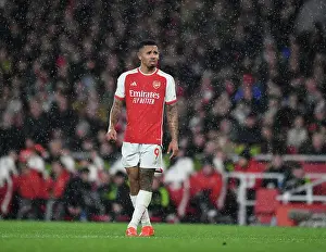 Arsenal V West Ham United 2023-24 Prints: Gabriel Jesus Shines: Arsenal's Dominant Performance Against West Ham United (2023-24)