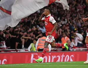 Gabriel Jesus's Thrilling Goal: Arsenal FC vs. Aston Villa, Premier League 2022-23
