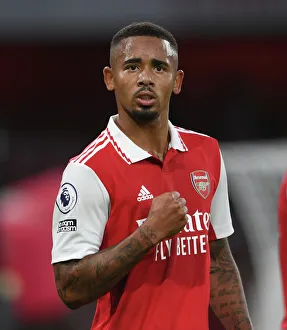 Gabriel Jesus's Thrilling Goal: Arsenal vs. Aston Villa, Premier League 2022-23