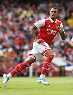 Gabriel Magalhaes in Action: Arsenal vs Everton, Premier League 2021-22