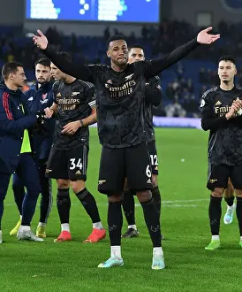 Gabriel's Celebration: Arsenal Secures Victory Over Brighton in Premier League Clash