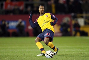 Images Dated 2nd December 2008: Gavin Hoyte (Arsenal)