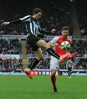 Newcastle United V Arseal 2014/15 Prints: Giroud vs. Janmaat: Intense Clash Between Newcastle and Arsenal in Premier League