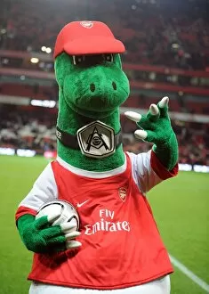 Images Dated 30th November 2010: Gunner. Arsenal 2: 0 Wigan Athletic. Carling Cup, Quarter Final. Emirates Stadium