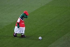 Gunner. Arsenal 5: 0 Leyton Orient, FA Cup Fifth Round Replay, Emirates Stasium