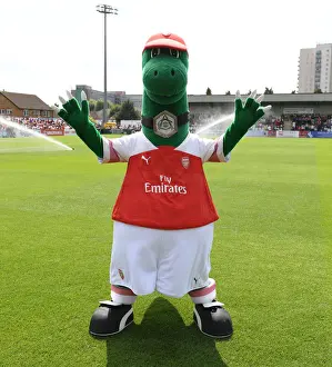 Gunnersaurus at Borehamwood: Arsenal's Pre-Season Friendly