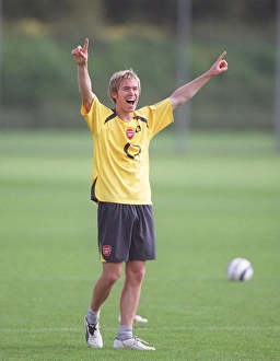 Hleb: A Legendary Arsenal Football Club Player