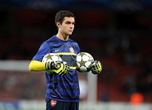 Arsenal v Olympiacos 2012-13 Collection: James Shea (Arsenal). Arsenal 3: 1 Olympiacos. UEFA Champions League. Group B