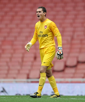 Arsenal U21 V Blackburn R U21 2012-13 Prints: James Shea's Debut Shine