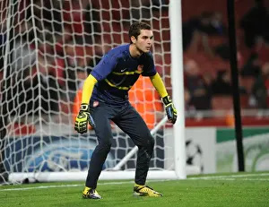 Arsenal V Schalke 04 2012-13 Prints: James Shea's Disappointing Night: Arsenal 0:2 Schalke 04