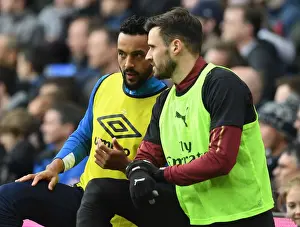 Everton V Arsenal 2018-19 Prints: Jenkinson and Walcott: A Moment of Respite Amidst Everton vs. Arsenal Rivalry