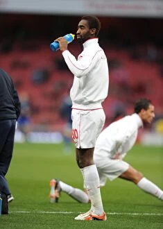Images Dated 8th January 2011: Johan Djourou (Arsenal). Arsenal 1: 1 Leeds United, FA Cup 3rd Round, Emirates Stadium