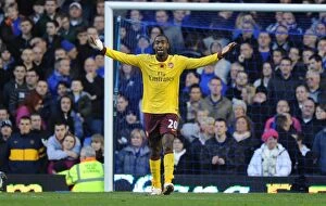 Johan Djourou (Arsenal). Everton 1: 2 Arsenal, Barclays Premier League, Goodison Park