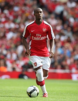Justin Hoyte (Arsenal)