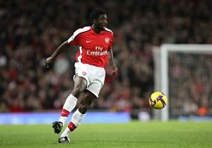 Images Dated 15th November 2008: Kolo Toure (Arsenal)