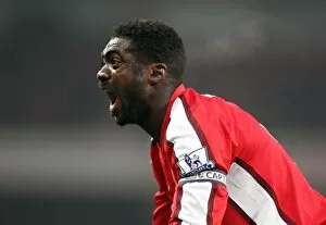 Images Dated 10th January 2009: Kolo Toure (Arsenal)