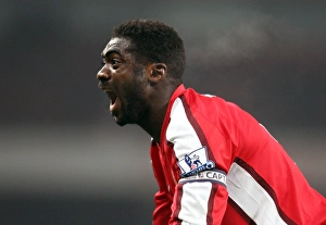 Arsenal v Bolton Wanderers 2008-09 Collection: Kolo Toure (Arsenal)