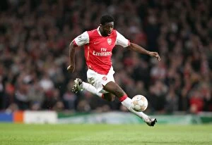 Images Dated 4th April 2008: Kolo Toure (Arsenal)