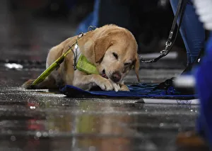 Images Dated 2019 November: 10 Nov 2019