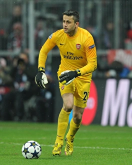 Bayern Munich V Arsenal 2012-13 Prints: Lukasz Fabianski