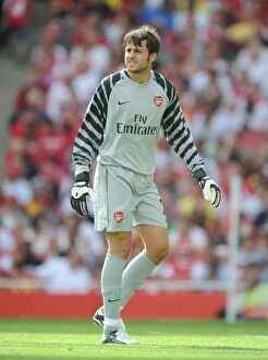 Lukasz Fabianski (Arsenal). Arsenal 1: 1 AC Milan. Emirates Cup, pre season