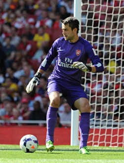Lukasz Fabianski (Arsenal). Arsenal 2: 2 Napoli. Emirates Cup Day One. Emirates Stadium, 3 / 8 / 13