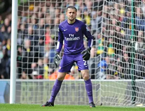 Norwich City V Arsenal 2013-14 Prints: Lukasz Fabianski: Arsenal Goalkeeper in Action Against Norwich City (2013-14)