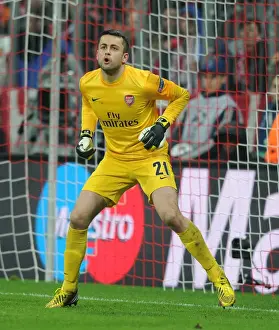 Bayern Munich V Arsenal 2012-13 Prints: Lukasz Fabianski: Arsenal's Fortress in Munich - Bayern vs Arsenal