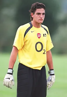 Mannone Vito: Arsenal FC's Unyielding Guardian